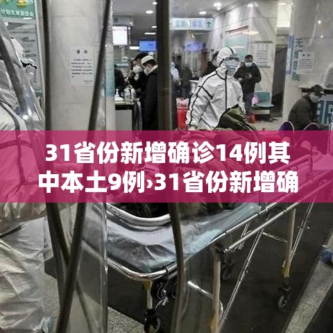 31省份新增确诊14例其中本土9例›31省份新增确诊22例 其中本土9例 31省份新增确诊14例其中本土9例›31省份新增确诊22例 其中本土9例