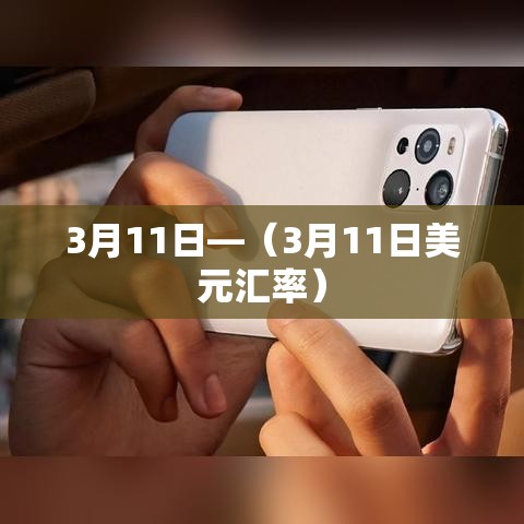 3月11日—(3月11日美元汇率) 3月11日—(3月11日美元汇率)