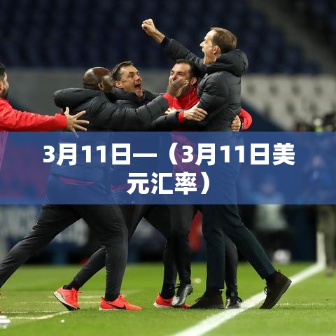 3月11日—(3月11日美元汇率) 3月11日—(3月11日美元汇率)