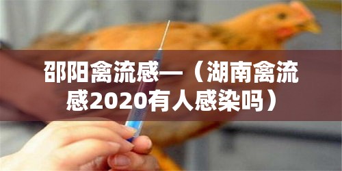 邵阳禽流感—（湖南禽流感2020有人感染吗）