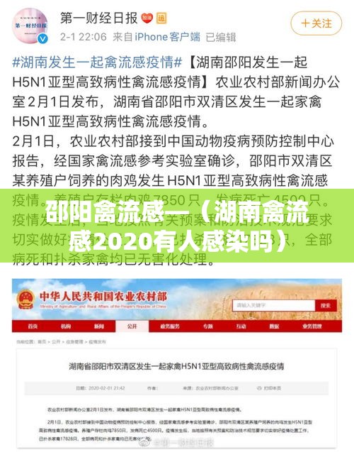 邵阳禽流感—（湖南禽流感2020有人感染吗）