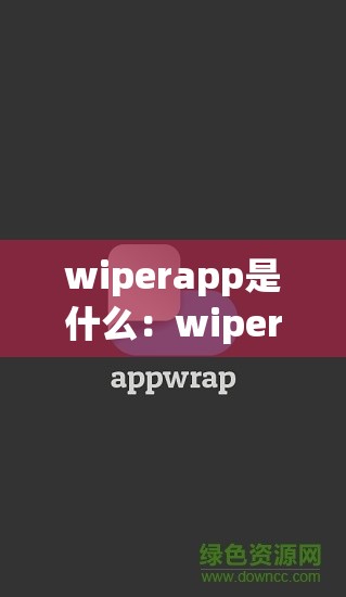 wiperapp是什么：wiper什么意思啊