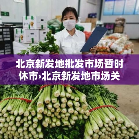 北京新发地批发市场暂时休市›北京新发地市场关闭