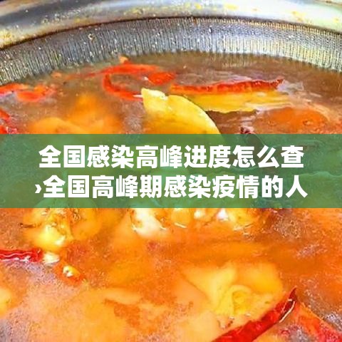 全国感染高峰进度怎么查›全国高峰期感染疫情的人数