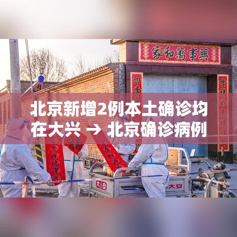北京新增2例本土确诊均在大兴 → 北京确诊病例大兴 北京新增2例本土确诊均在大兴 → 北京确诊病例大兴
