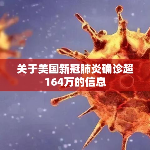 关于美国新冠肺炎确诊超164万的信息