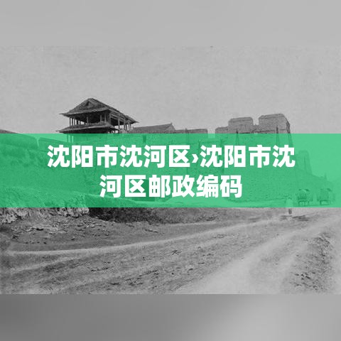 沈阳市沈河区›沈阳市沈河区邮政编码 沈阳市沈河区›沈阳市沈河区邮政编码