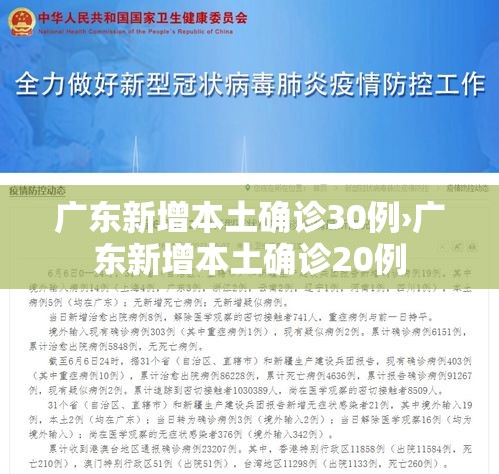 广东新增本土确诊30例›广东新增本土确诊20例 广东新增本土确诊30例›广东新增本土确诊20例