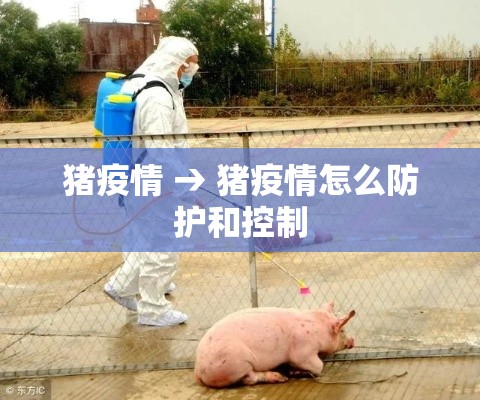 猪疫情 → 猪疫情怎么防护和控制 猪疫情 → 猪疫情怎么防护和控制