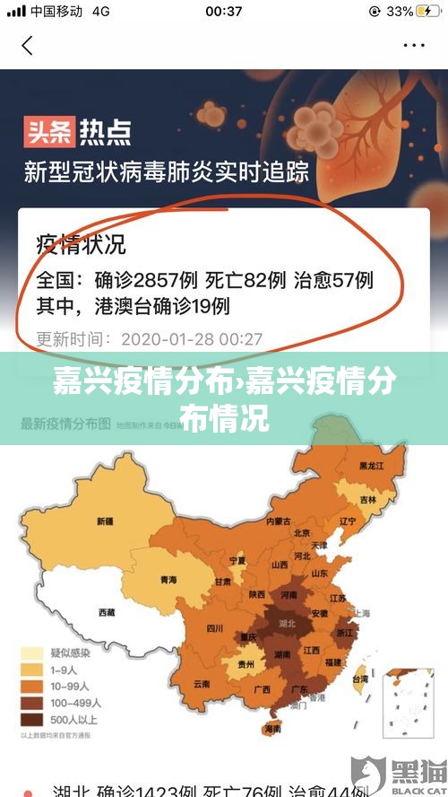 嘉兴疫情分布›嘉兴疫情分布情况