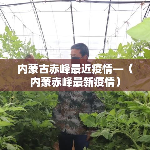 内蒙古赤峰最近疫情—（内蒙赤峰最新疫情）