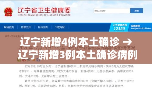 辽宁新增4例本土确诊 → 辽宁新增3例本土确诊病例轨迹 辽宁新增4例本土确诊 → 辽宁新增3例本土确诊病例轨迹