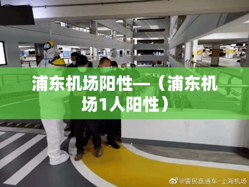 浦东机场阳性—（浦东机场1人阳性）