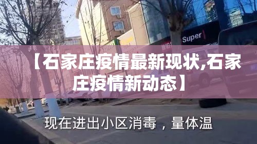 【石家庄疫情最新现状,石家庄疫情新动态】 【石家庄疫情最新现状,石家庄疫情新动态】