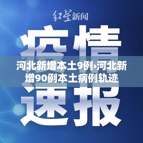 河北新增本土9例›河北新增90例本土病例轨迹