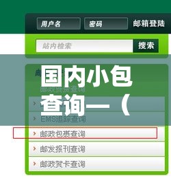 国内小包查询—（国内小包查询单号）