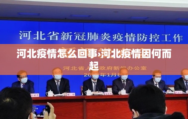 河北疫情怎么回事›河北疫情因何而起 河北疫情怎么回事›河北疫情因何而起