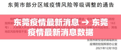 东莞疫情最新消息 → 东莞疫情最新消息数据