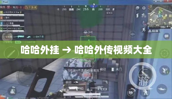 哈哈外挂 → 哈哈外传视频大全 哈哈外挂 → 哈哈外传视频大全