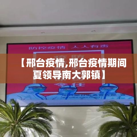 【邢台疫情,邢台疫情期间夏领导南大郭镇】