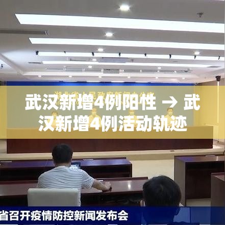 武汉新增4例阳性 → 武汉新增4例活动轨迹