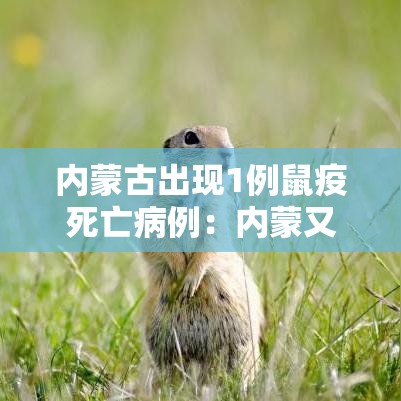 内蒙古出现1例鼠疫死亡病例：内蒙又发现一例鼠疫患者