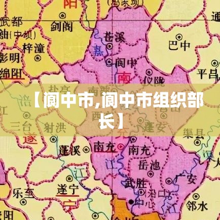 【阆中市,阆中市组织部长】