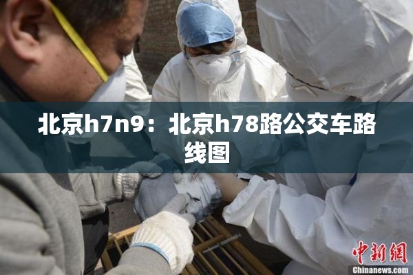 北京h7n9:北京h78路公交车路线图 北京h7n9:北京h78路公交车路线图