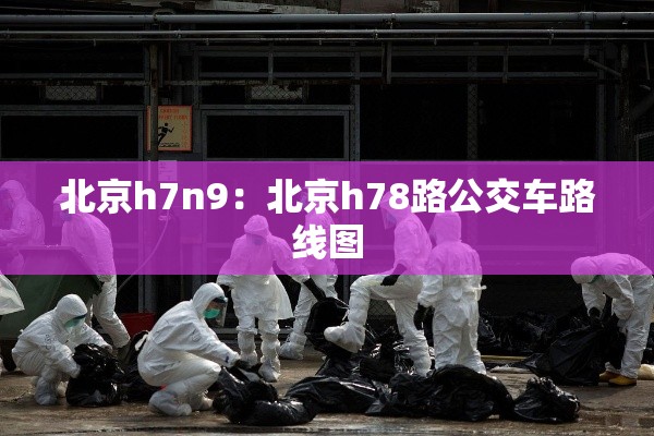 北京h7n9:北京h78路公交车路线图 北京h7n9:北京h78路公交车路线图