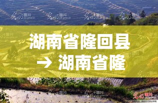 湖南省隆回县 → 湖南省隆回县地图