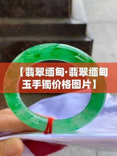 【翡翠缅甸·翡翠缅甸玉手镯价格图片】