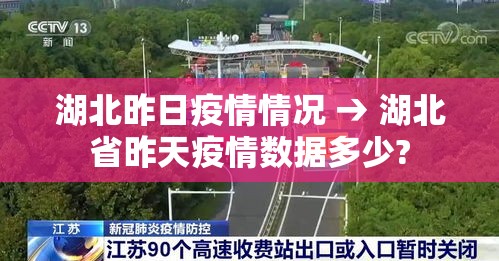 湖北昨日疫情情况 → 湖北省昨天疫情数据多少? 湖北昨日疫情情况 → 湖北省昨天疫情数据多少?