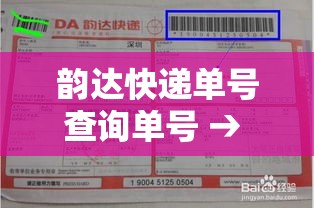 韵达快递单号查询单号 → 韵达快递单号 查快递 韵达快递单号查询单号 → 韵达快递单号 查快递
