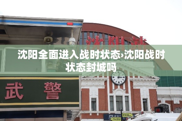 沈阳全面进入战时状态›沈阳战时状态封城吗