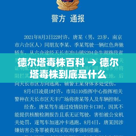 德尔塔毒株百科 → 德尔塔毒株到底是什么 德尔塔毒株百科 → 德尔塔毒株到底是什么