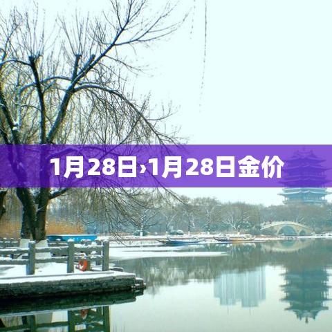 1月28日›1月28日金价 1月28日›1月28日金价