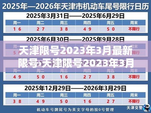 实测开挂辅助“微乐龙江麻将万能开挂器”科技辅助神器手机版教程