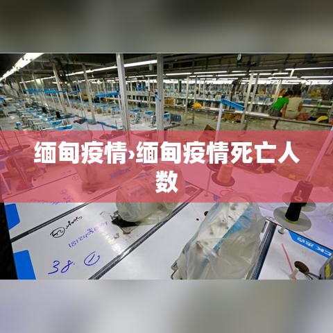 缅甸疫情›缅甸疫情死亡人数