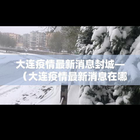 大连疫情最新消息封城—（大连疫情最新消息在哪）