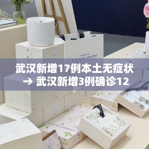 武汉新增17例本土无症状 → 武汉新增3例确诊12例无症状