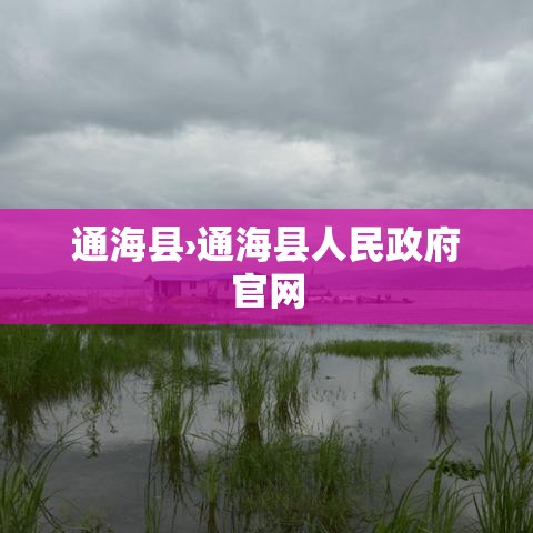 通海县›通海县人民政府官网
