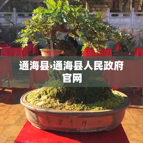 通海县›通海县人民政府官网