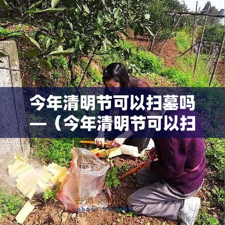 今年清明节可以扫墓吗—（今年清明节可以扫墓吗视频）