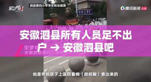 安徽泗县所有人员足不出户 → 安徽泗县吧