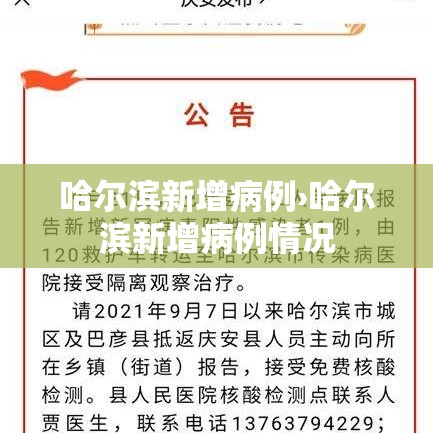 哈尔滨新增病例›哈尔滨新增病例情况 哈尔滨新增病例›哈尔滨新增病例情况