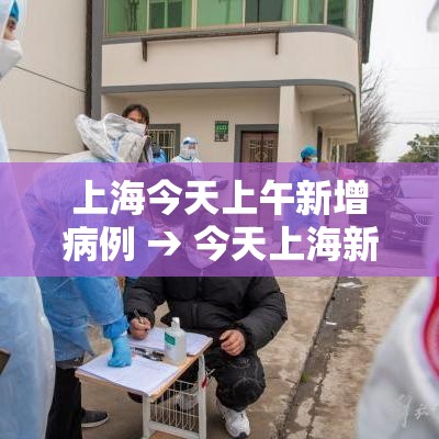 上海今天上午新增病例 → 今天上海新增确诊病例