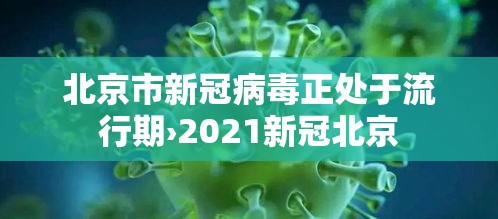 北京市新冠病毒正处于流行期›2021新冠北京