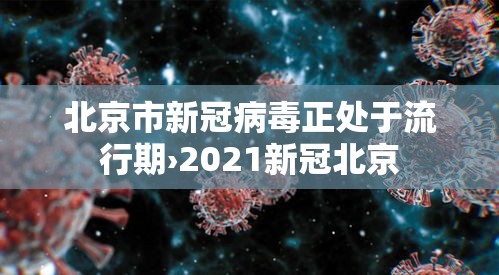 北京市新冠病毒正处于流行期›2021新冠北京
