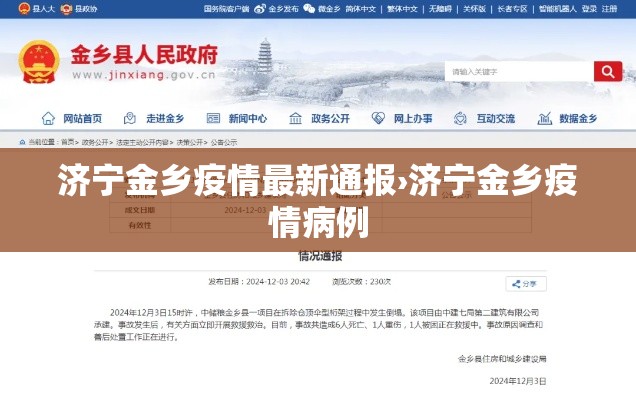 济宁金乡疫情最新通报›济宁金乡疫情病例