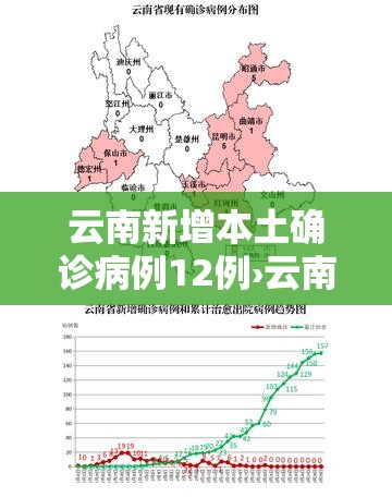 云南新增本土确诊病例12例›云南新增本土确诊病例3例